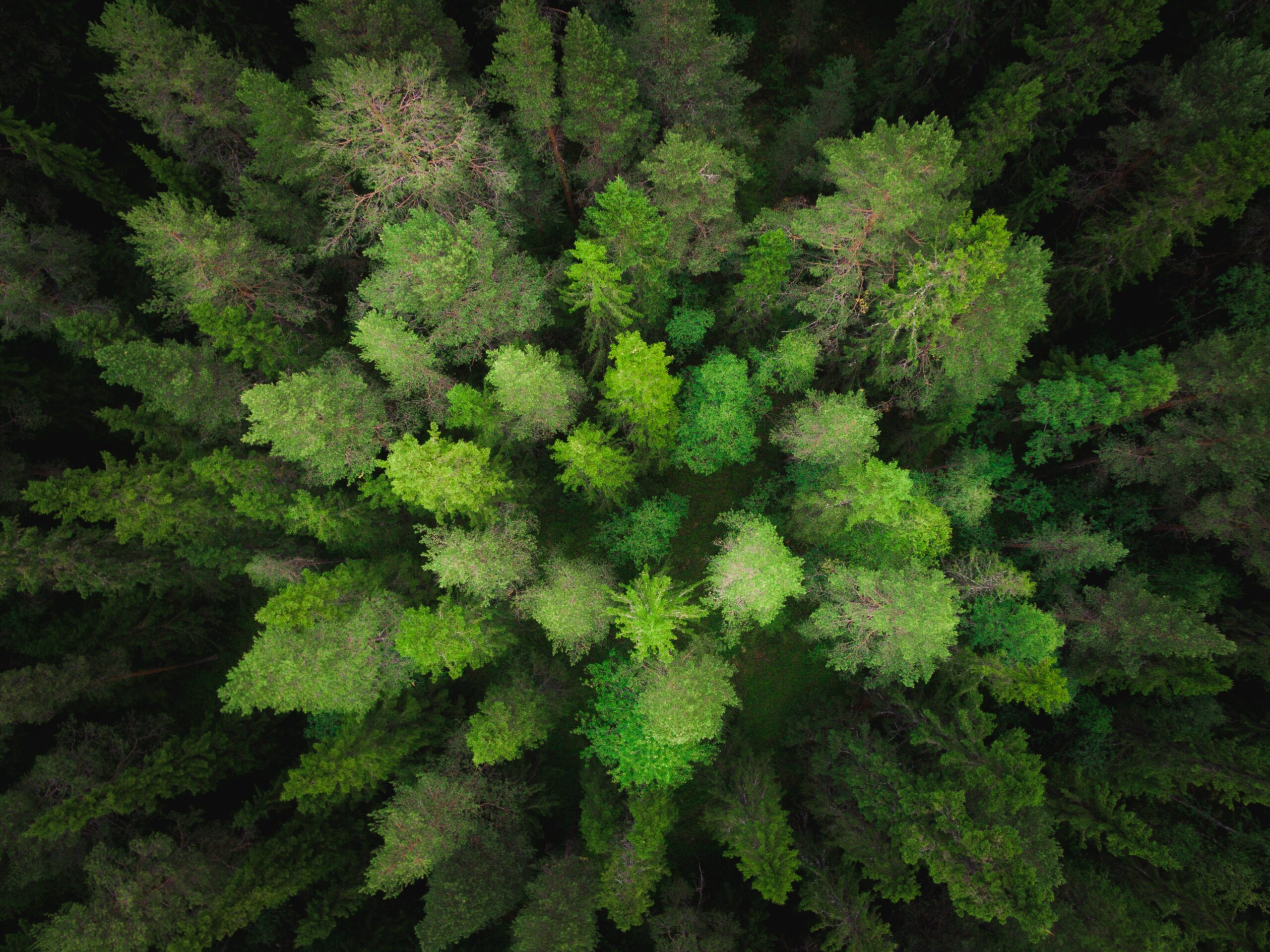 adrian-bar-1130995-unsplash