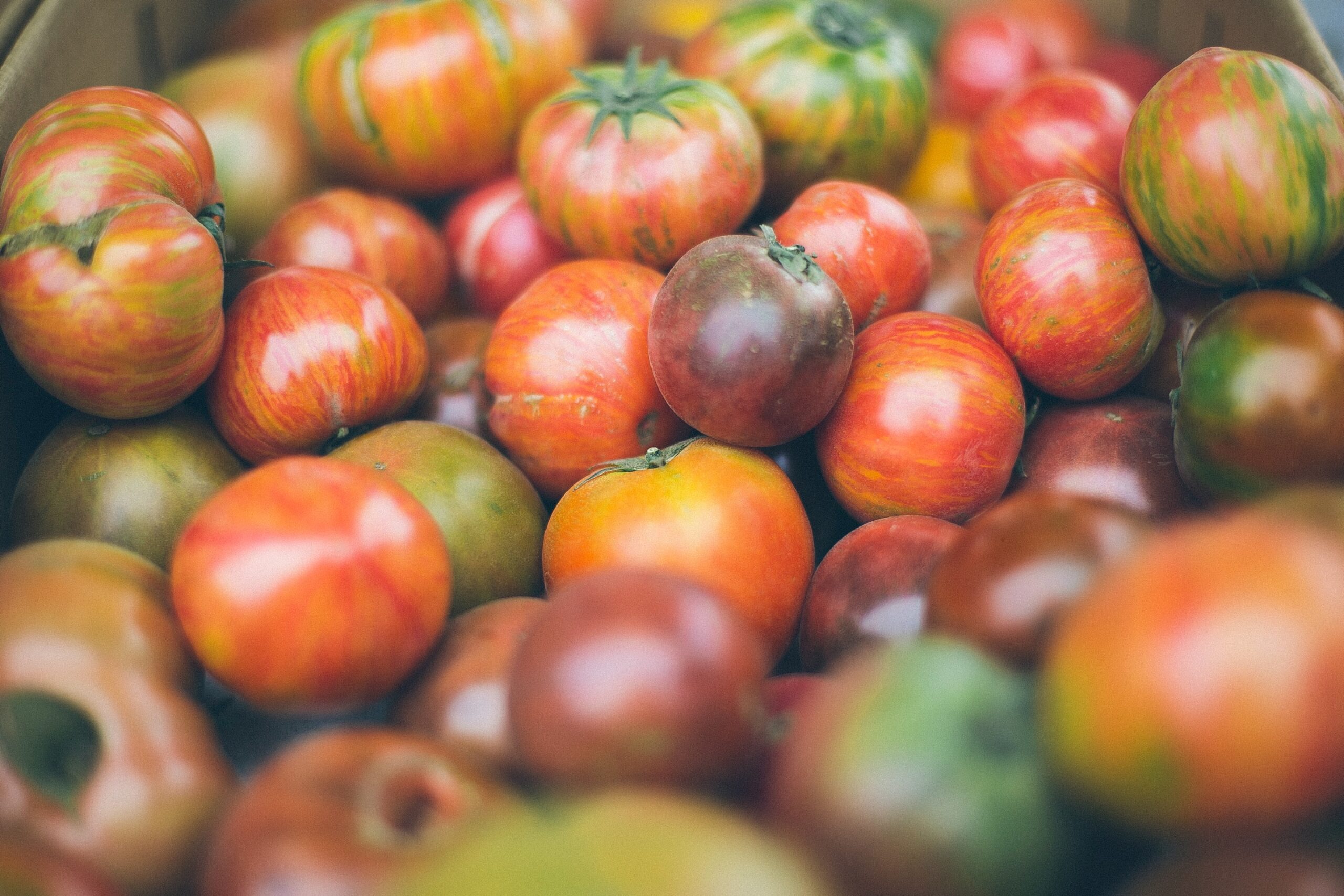 anda-ambrosini-UOEB1ztsDMo-unsplash