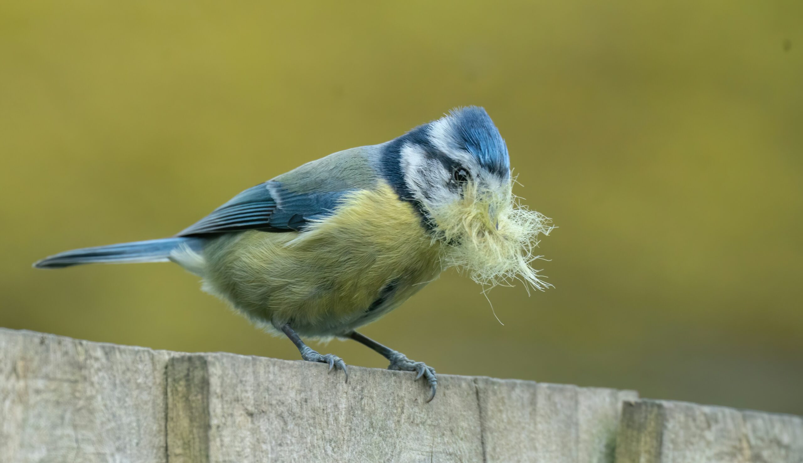 bob-brewer-batClH_DVTE-unsplash