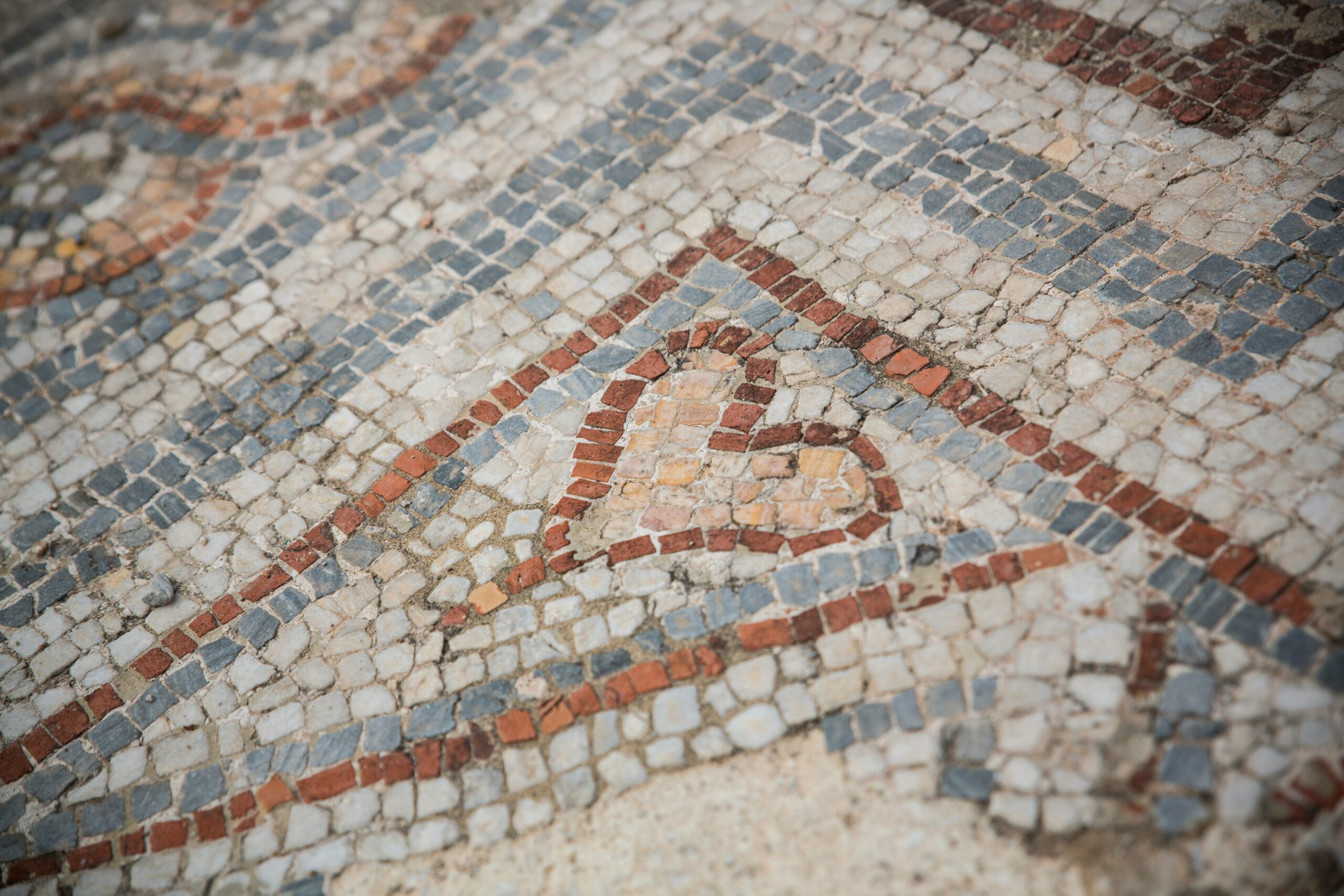 timothy-scahill-bYBene-Ds3s-unsplash